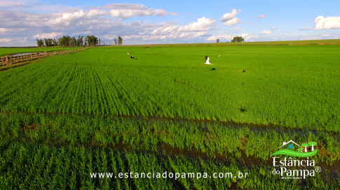 DOS EÓLICOS VIRA P FAZENDA_Moment.00_03_08_01.Quadro198_df5a203c678d82c3c910a92e29e5080307d758db.jpg